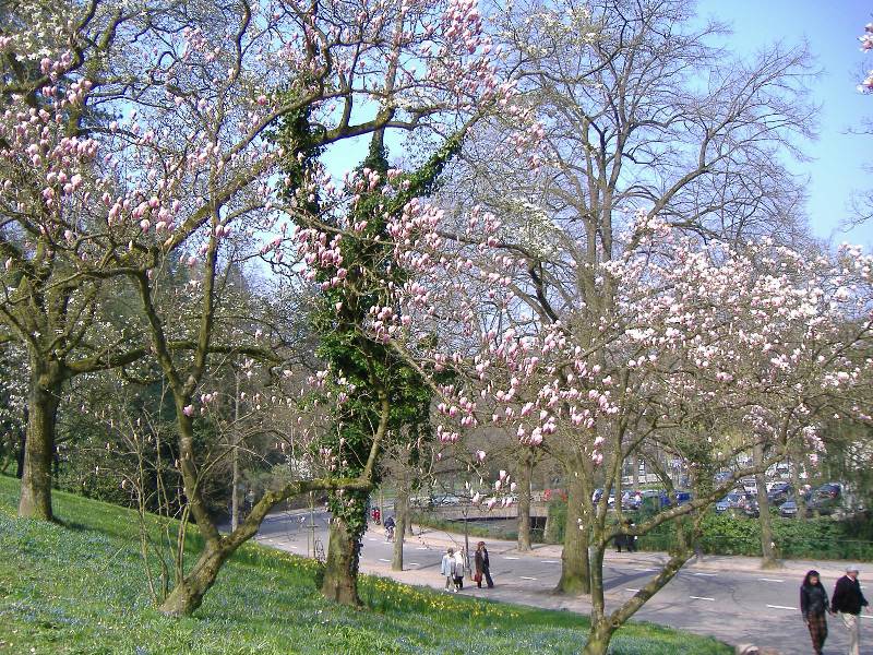 Fruehling in Baden Baden (5) 